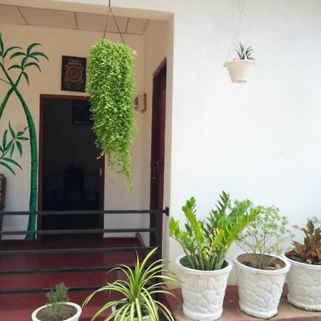Pawansa Home Stay Habarana Zewnętrze zdjęcie