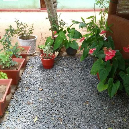 Pawansa Home Stay Habarana Zewnętrze zdjęcie
