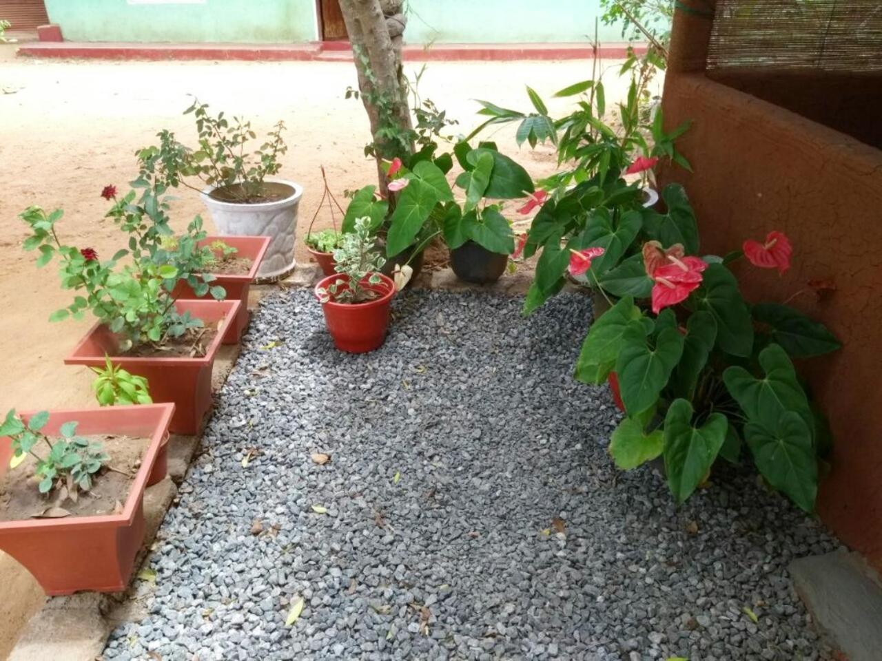 Pawansa Home Stay Habarana Zewnętrze zdjęcie